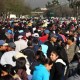 maestros_marcha